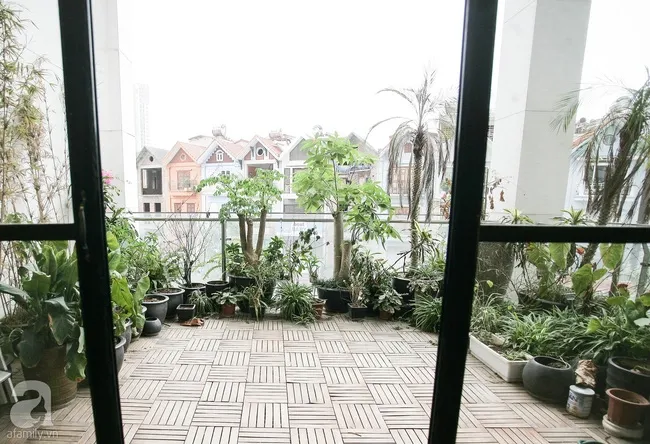  Tối ưu ánh sáng và thông gió tự nhiên